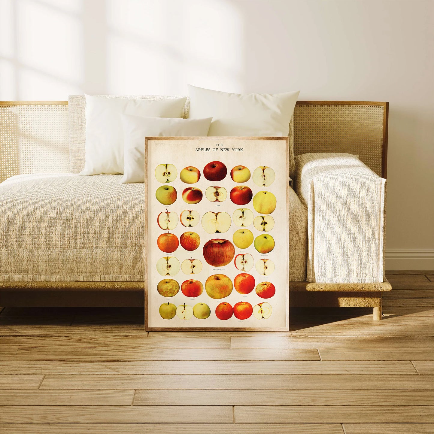 Explore this vintage apple chart from 'The Apples of New York' book (1905). Featuring historic apple illustrations, it’s perfect for rustic and farmhouse decor. Shop now!