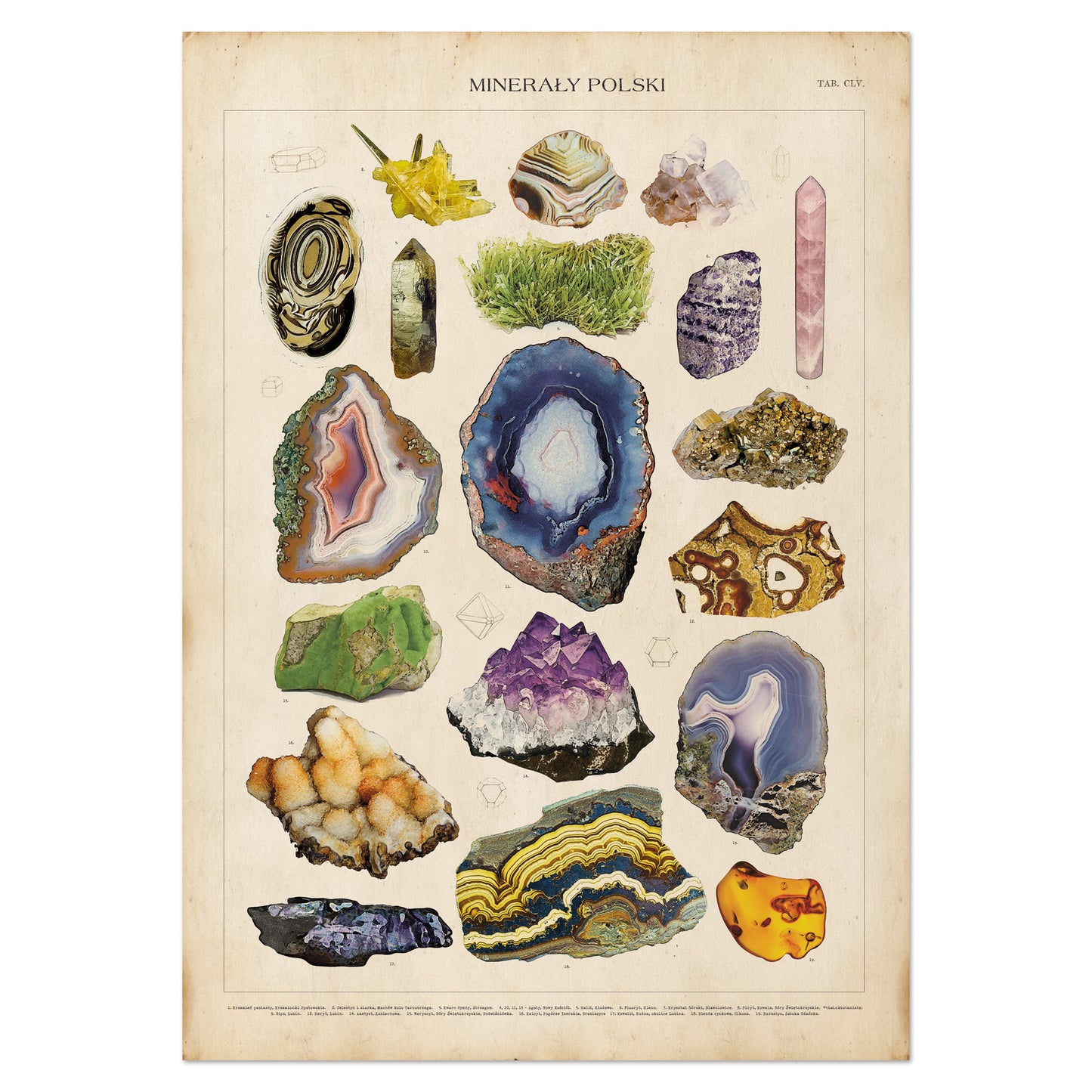 Vintage Gemstone and Mineral Chart - Minerals of Poland print.