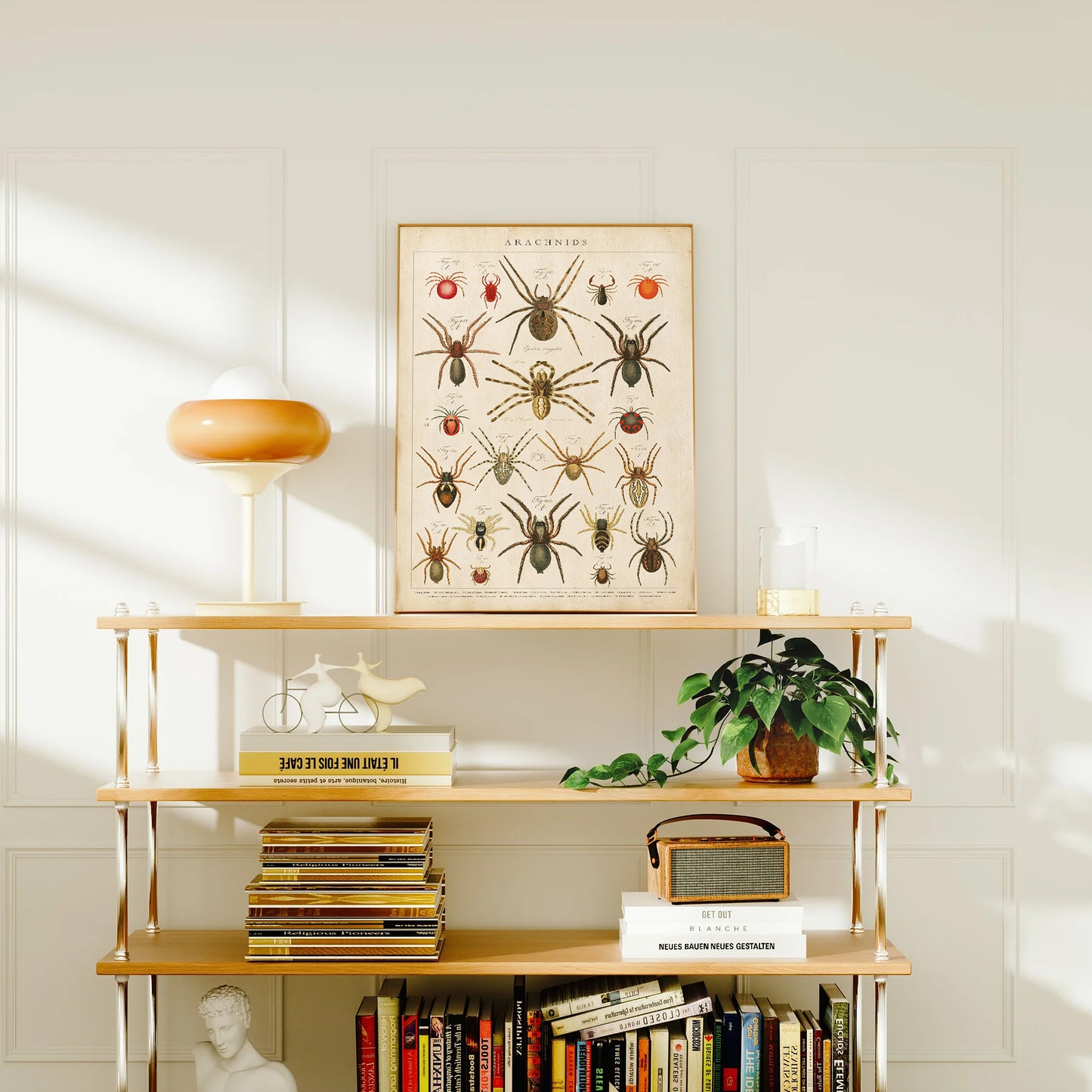 Vintage arachnids chart showcasing detailed illustrations of various spider species in antique natural history style.