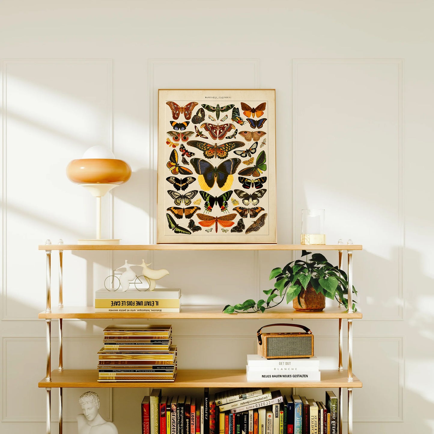 Exotic Butterfly Chart featuring vintage illustrations of rare butterflies from Asia, Africa, the Americas, and the Indies, inspired by the historic book Papillons Exotiques