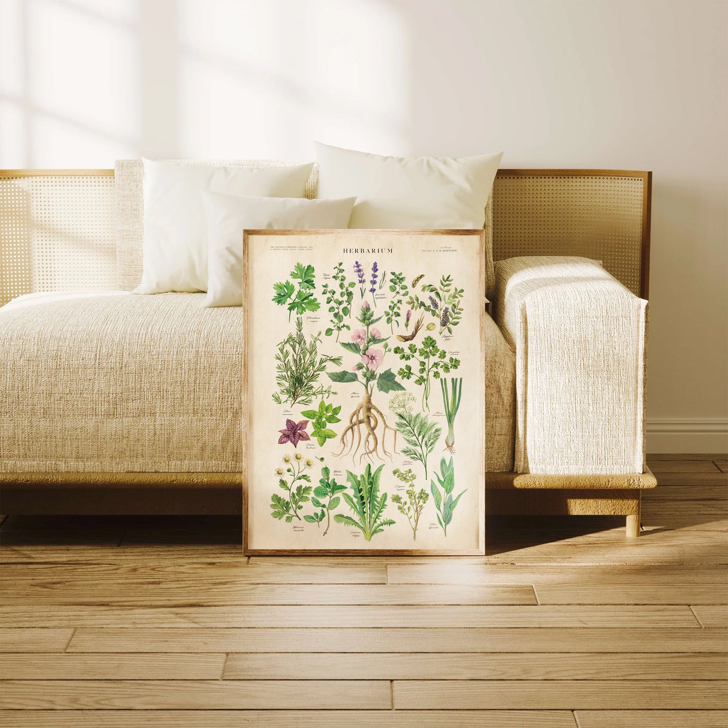 Herbarium Vintage Botanical Chart Print - Detailed illustrations of medicinal and culinary herbs with Latin names.