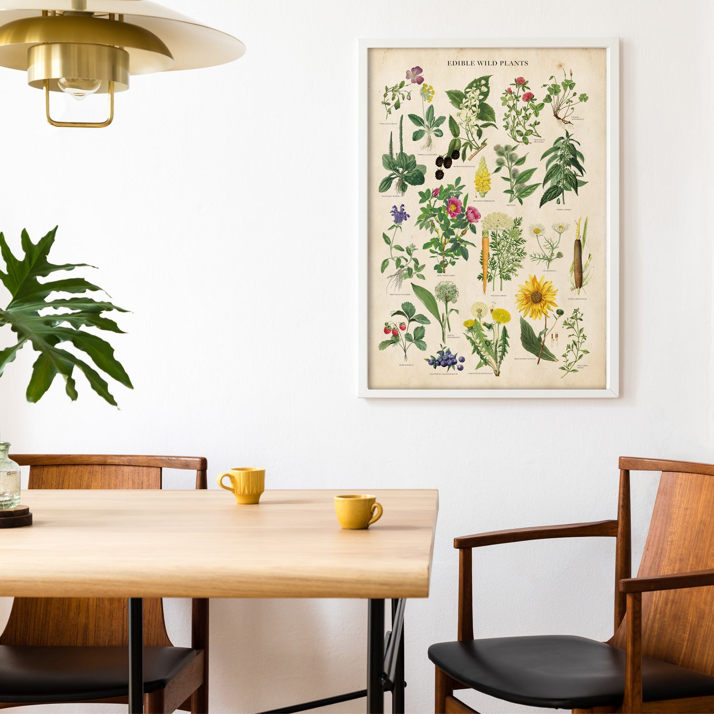 Vintage Edible Wild Plants print featuring botanical illustrations of edible herbs, flowers, and wild plants with labeled scientific names in a classic, antique style.