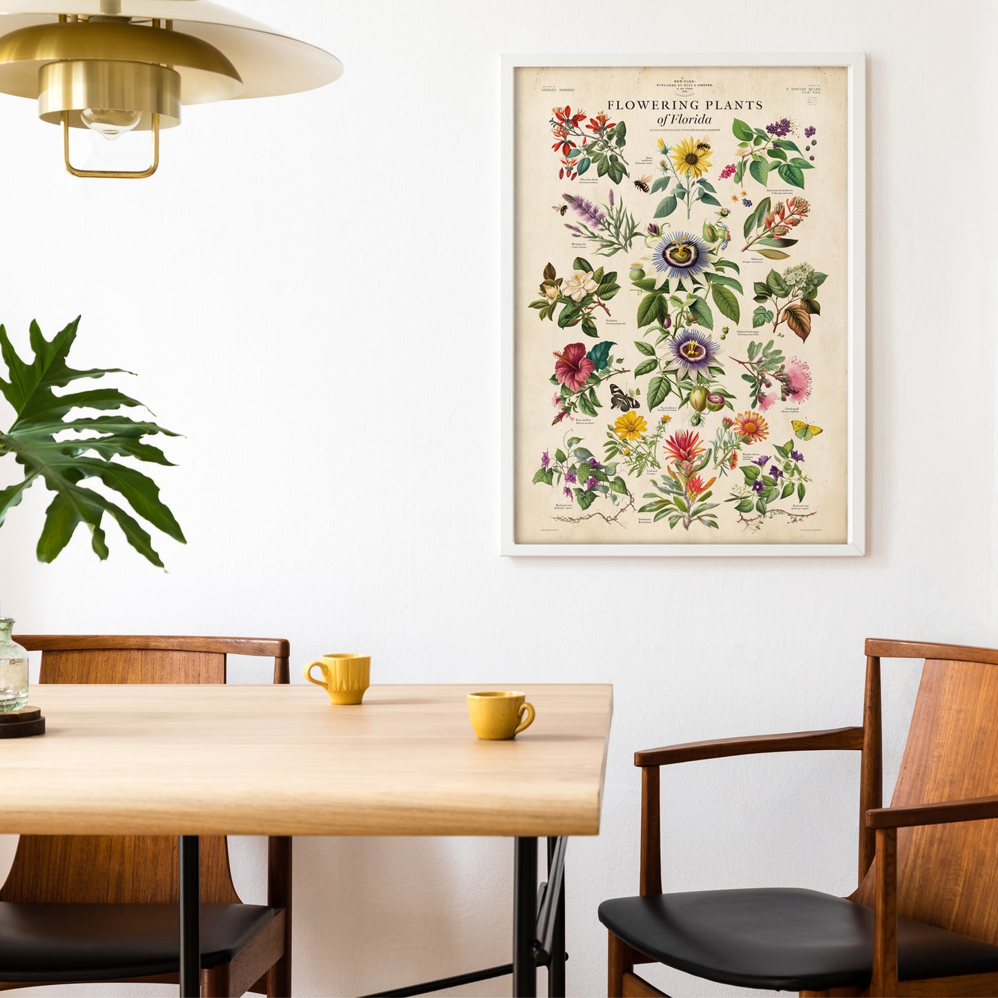 Celebrate the natural beauty of Florida's diverse wildflowers with this Flowering Plants of Florida Poster Print.