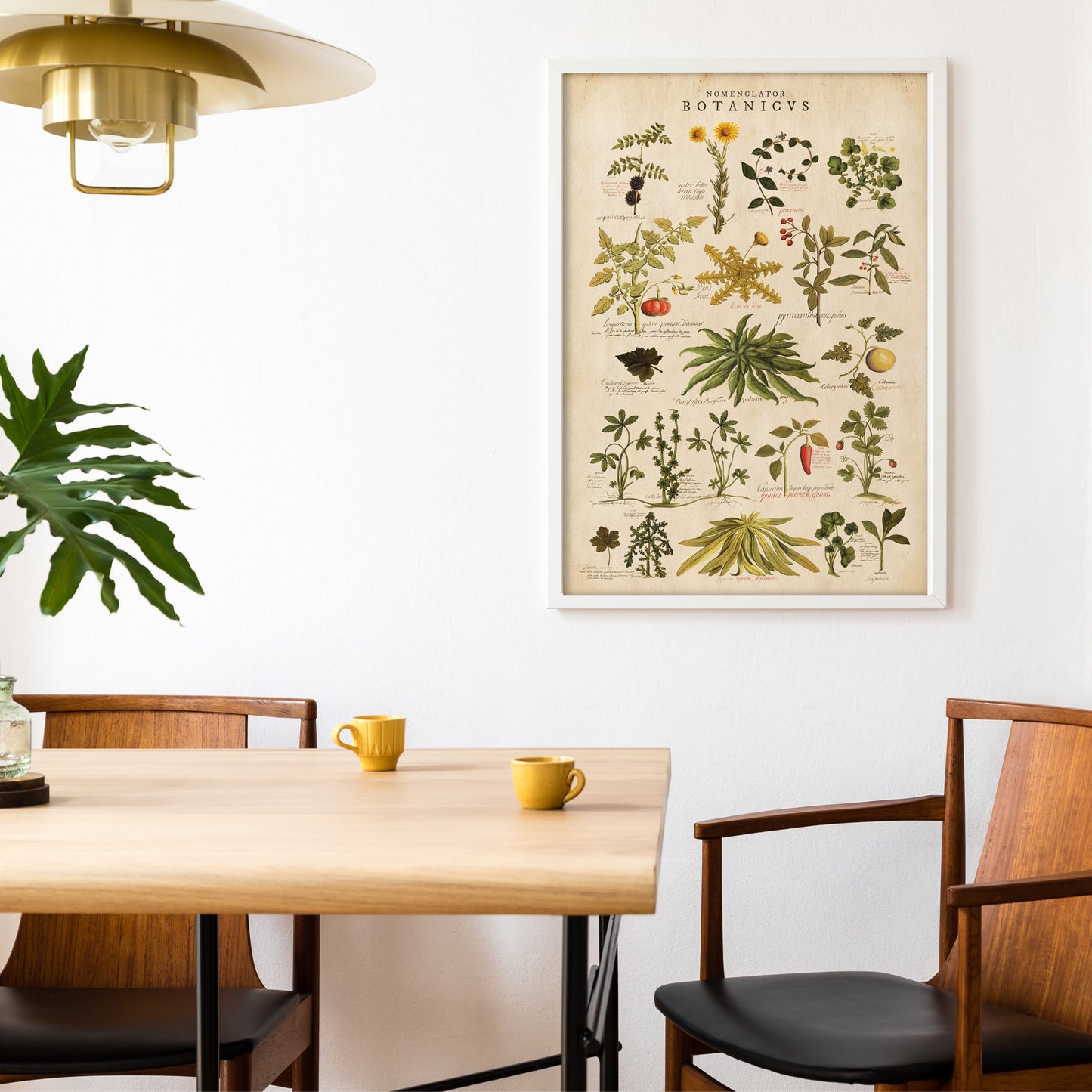 Restored botanical illustrations from a rare 1740 manuscript featuring intricate watercolor depictions of flowers and plants.