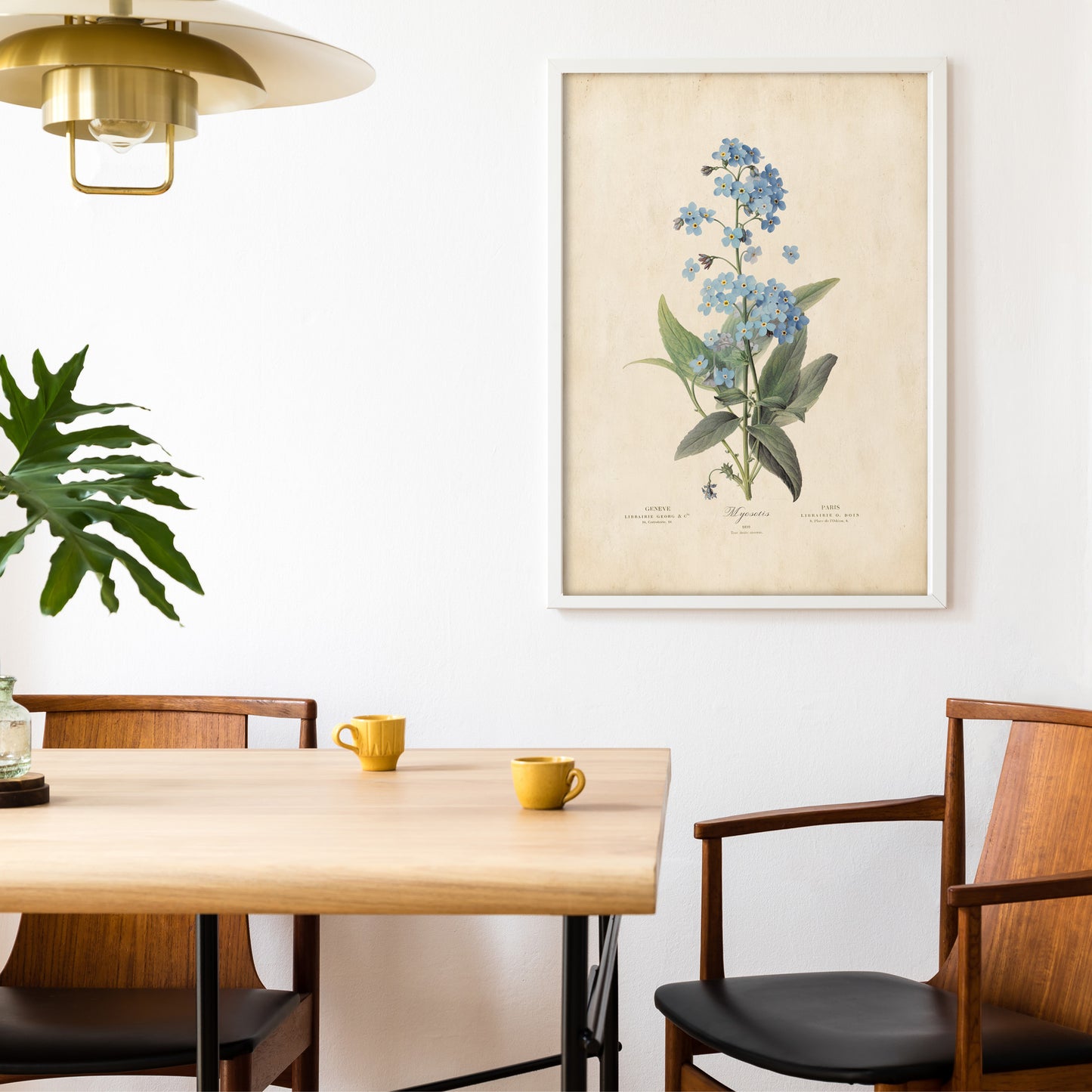 Illustration of delicate blue Forget-Me-Not flowers with green leaves on a vintage botanical print.