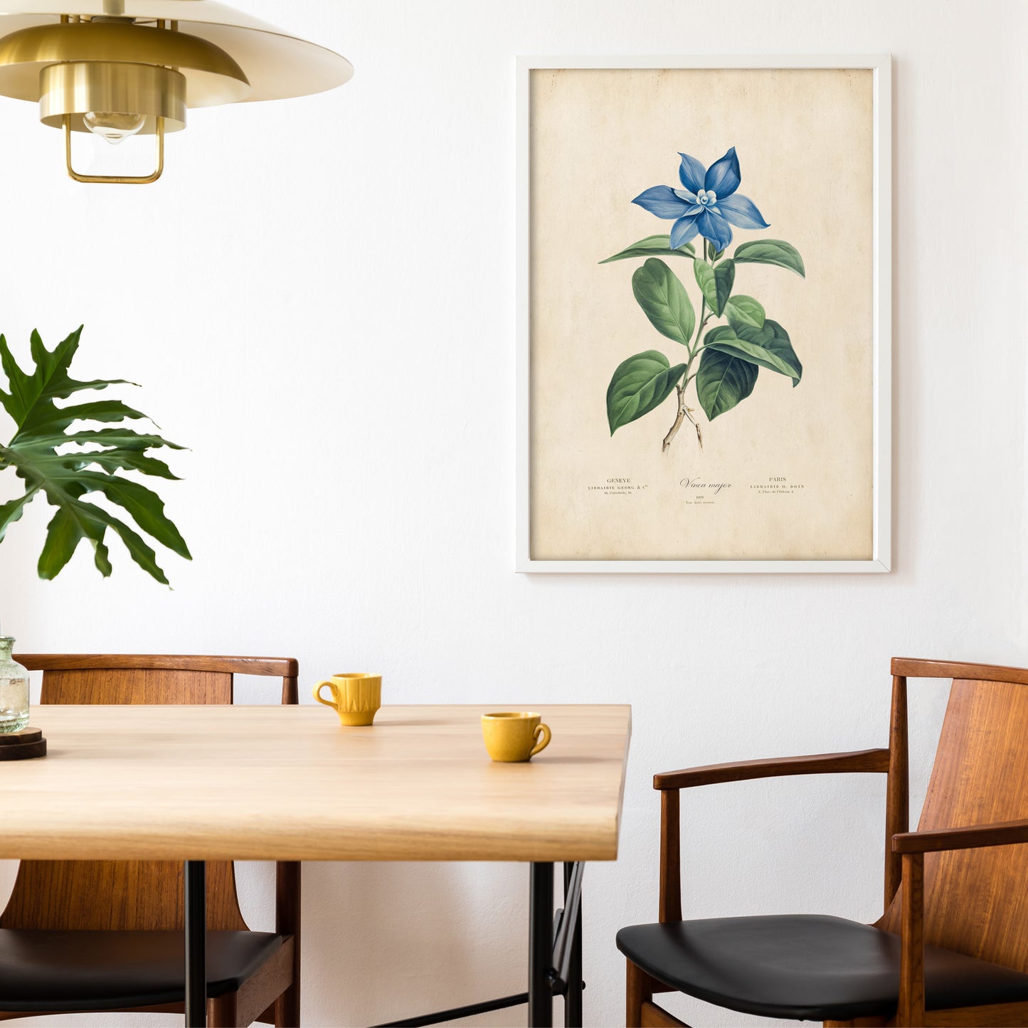 Vintage botanical Blue Periwinkle Illustration Print.