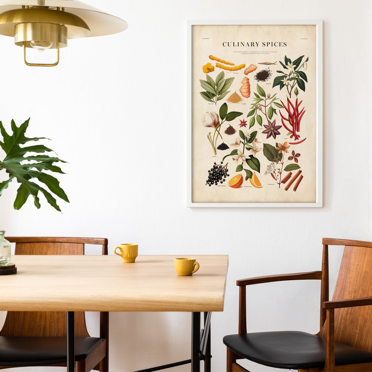 Culinary Spices Vintage Botanical Chart Print - Antique illustration with labeled spices in warm, natural tones.