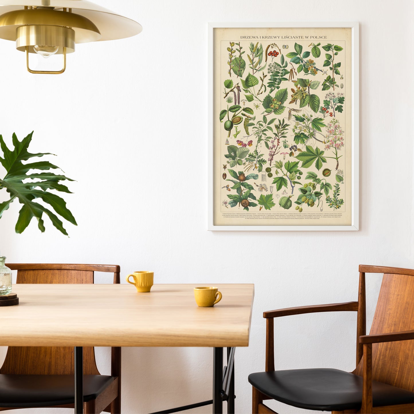 Trees and Shrubs of Poland