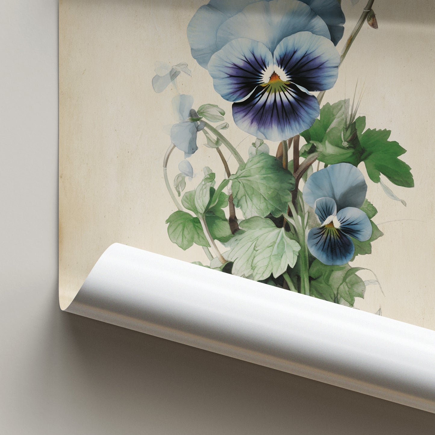Illustration of a delicate pansy flower with vibrant petals and lush green leaves on a vintage-inspired print.