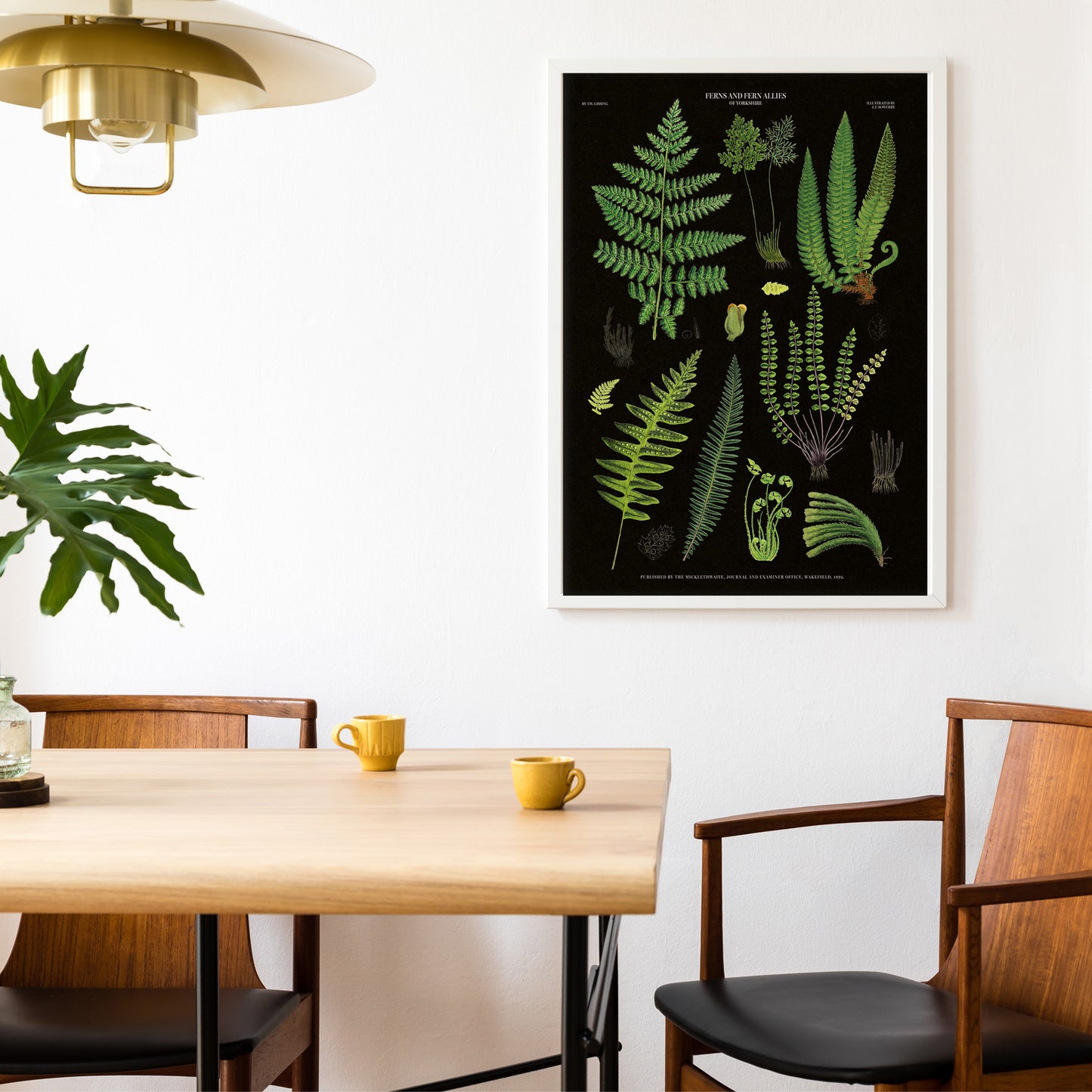 Vintage Fern Illustrations Poster - 'Ferns and Ferns Allies of Wakefield' (1862) on a black background with detailed green ferns.