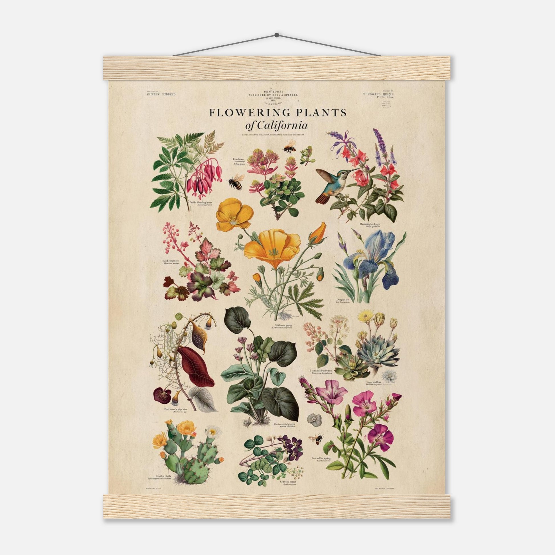 52357e93-0719-43fc-9baa-edbaa5a46865