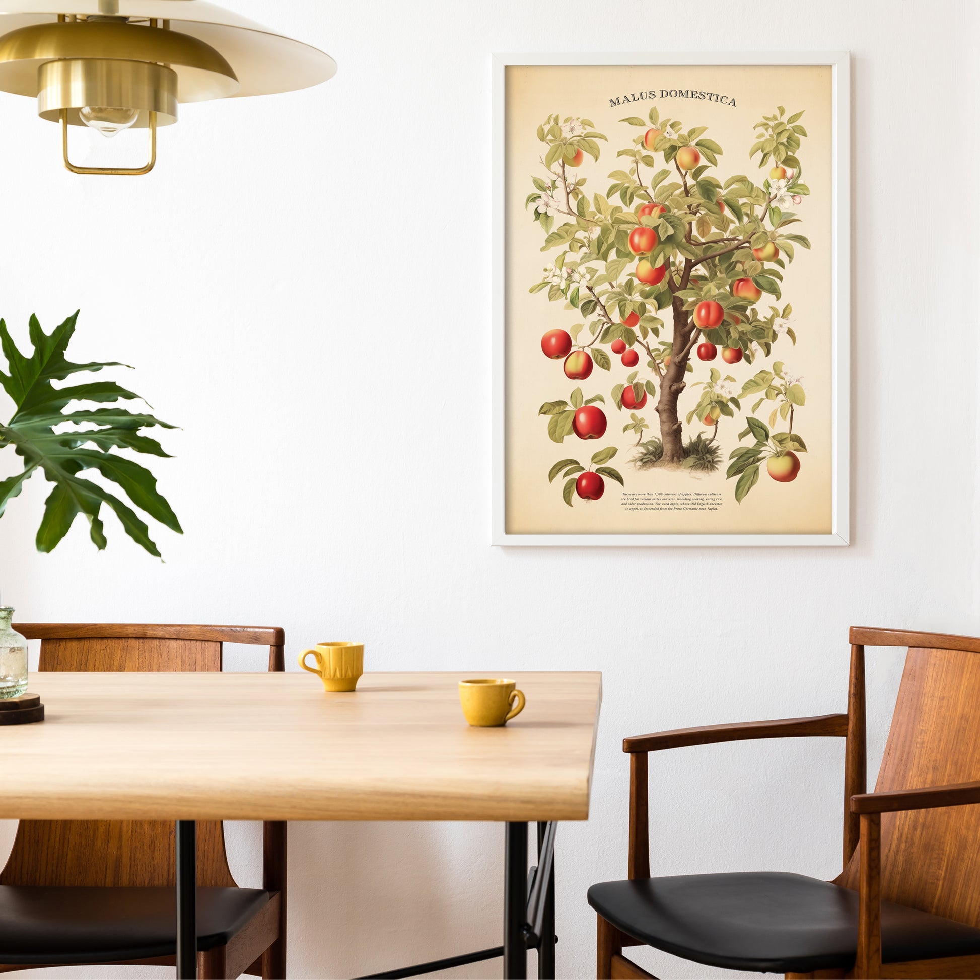 Beautiful vintage apple tree botanical print (Malus Domestica). Perfect for rustic kitchen decor, garden lovers, and nature-inspired spaces.