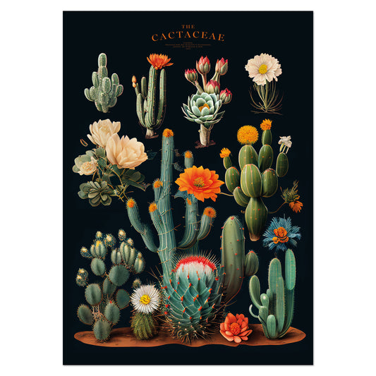 Vintage botanical cactus print featuring vibrant desert plants and flowers on a dramatic dark background, designed by Wit & Wild.