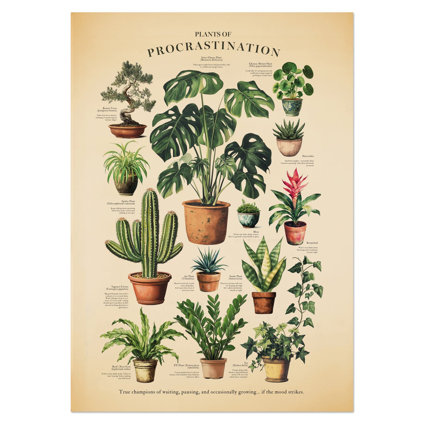 money plant chart Plants of Procrastination – Wit & Wild