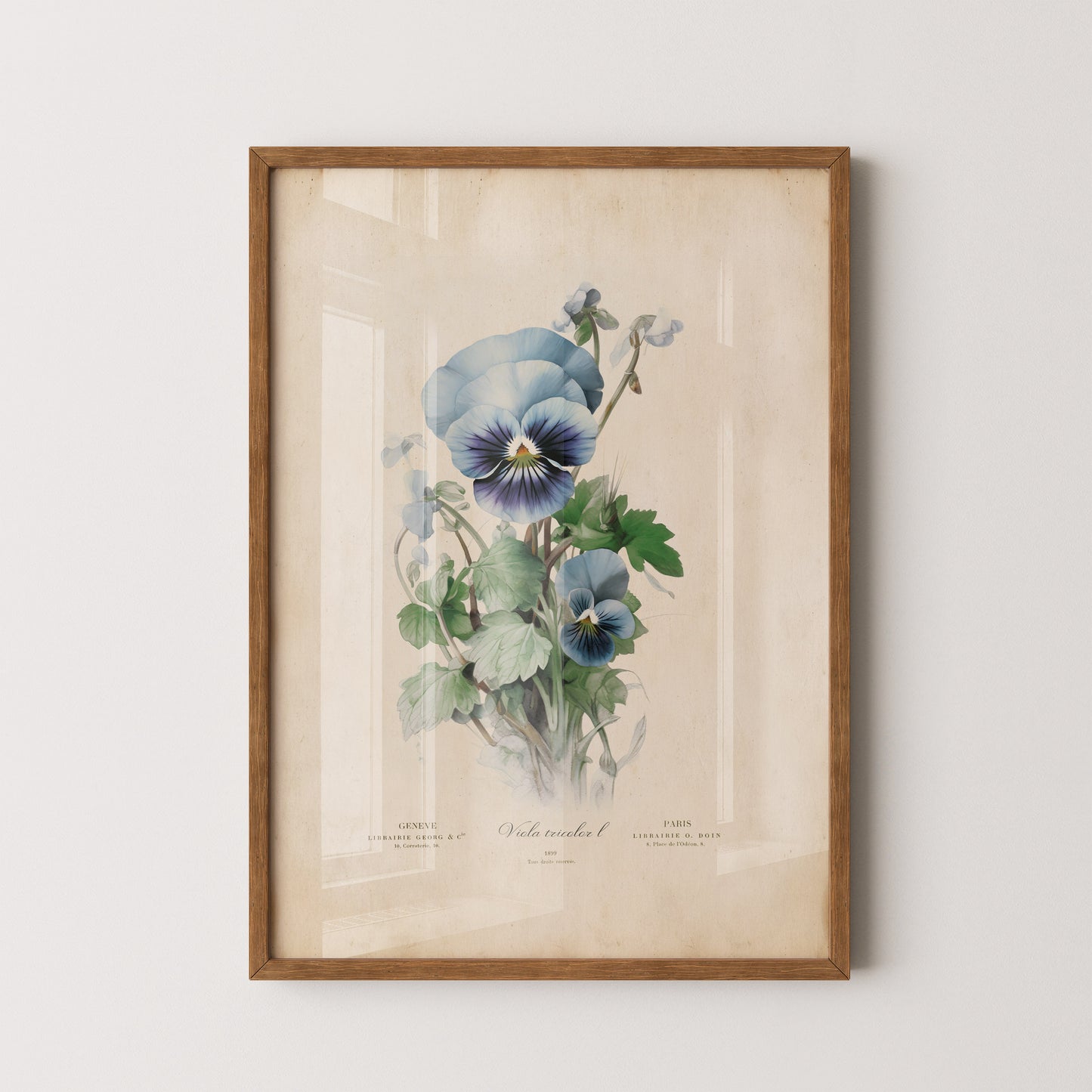 Illustration of a delicate pansy flower with vibrant petals and lush green leaves on a vintage-inspired print.