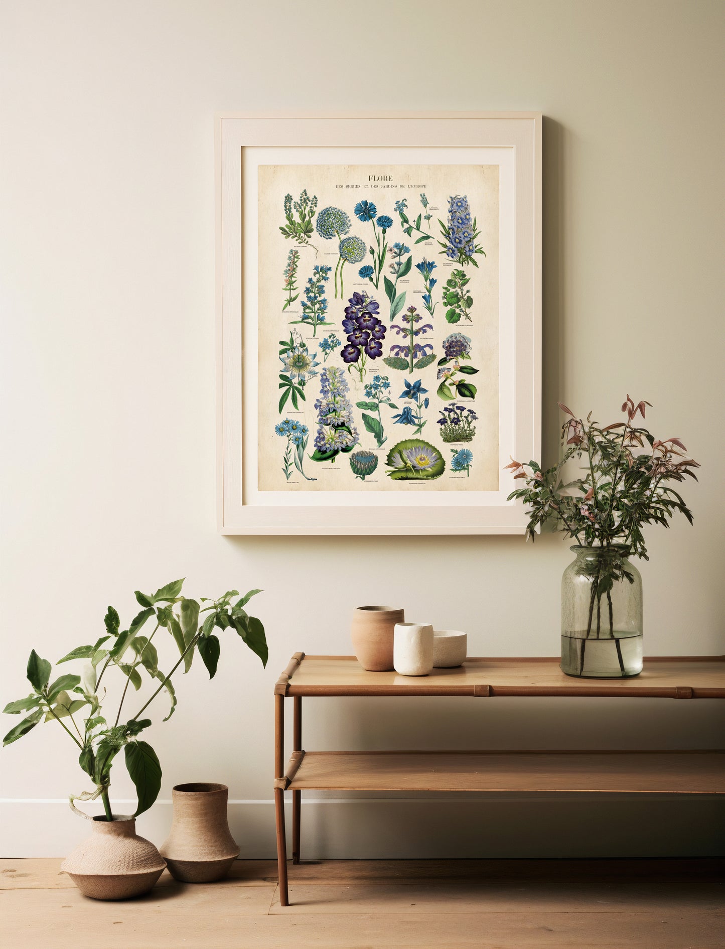 Blue Plants