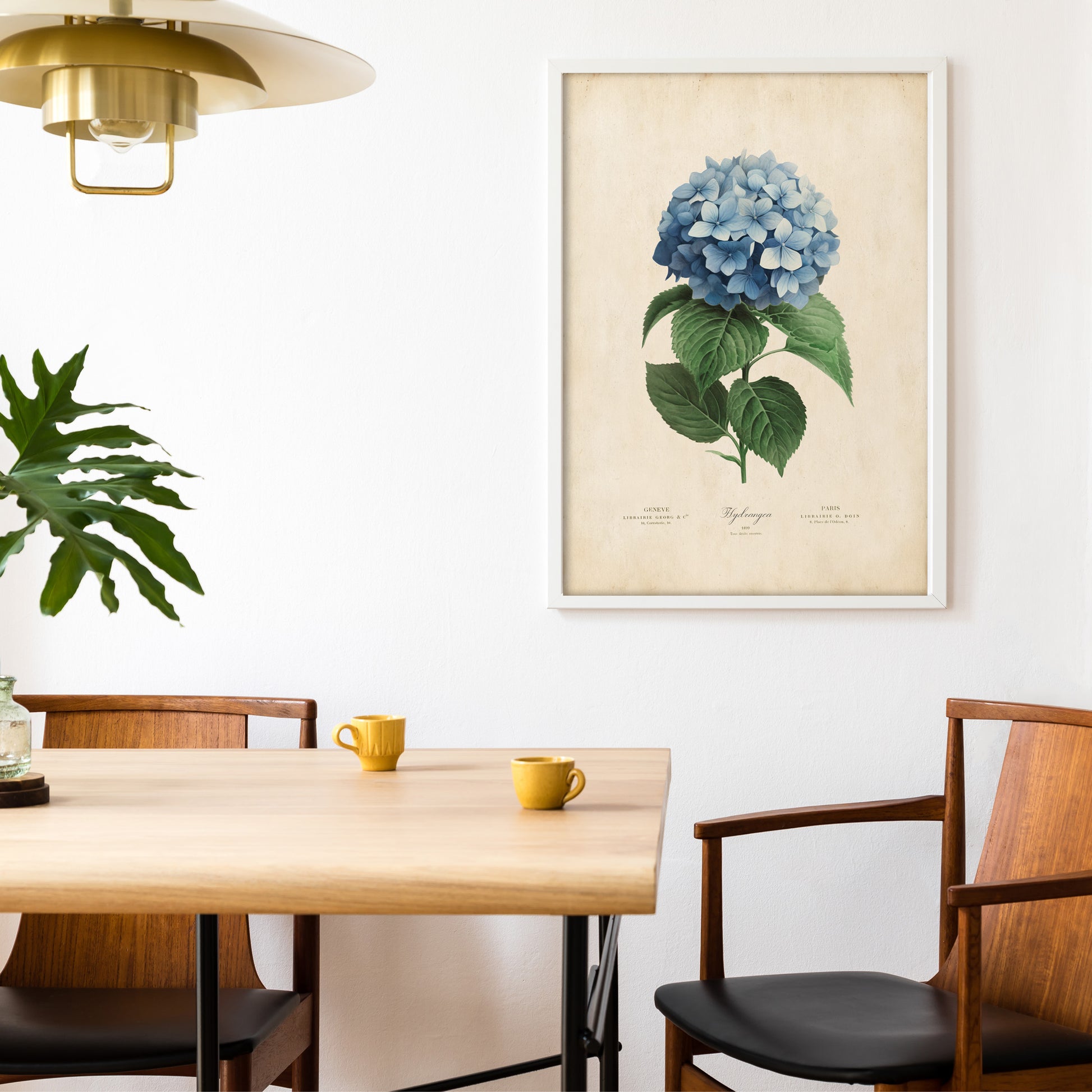 Illustration of a blue hydrangea flower with lush green leaves on a vintage-inspired print.