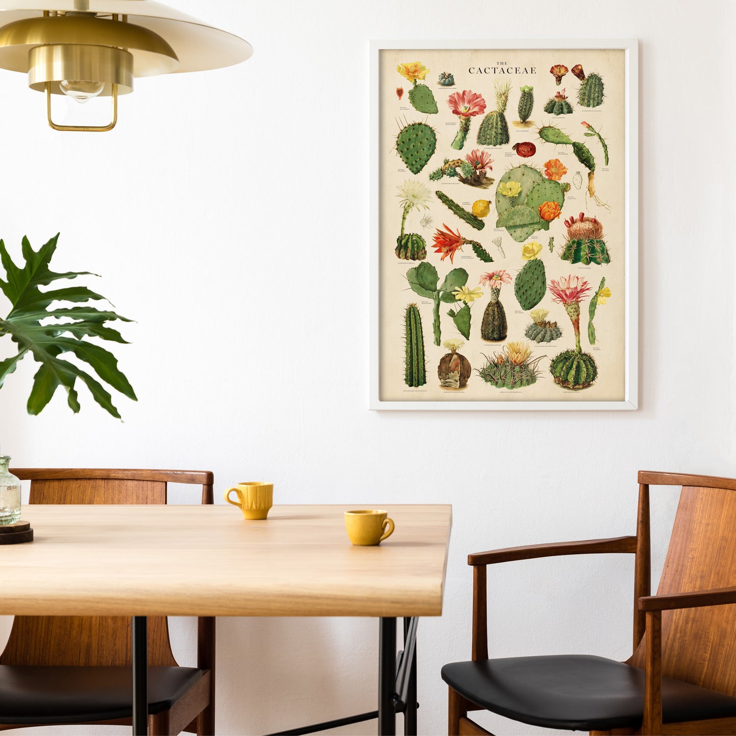 Vintage cactus chart featuring a variety of detailed botanical illustrations of cacti and their vibrant blooms, designed by Wit & Wild.