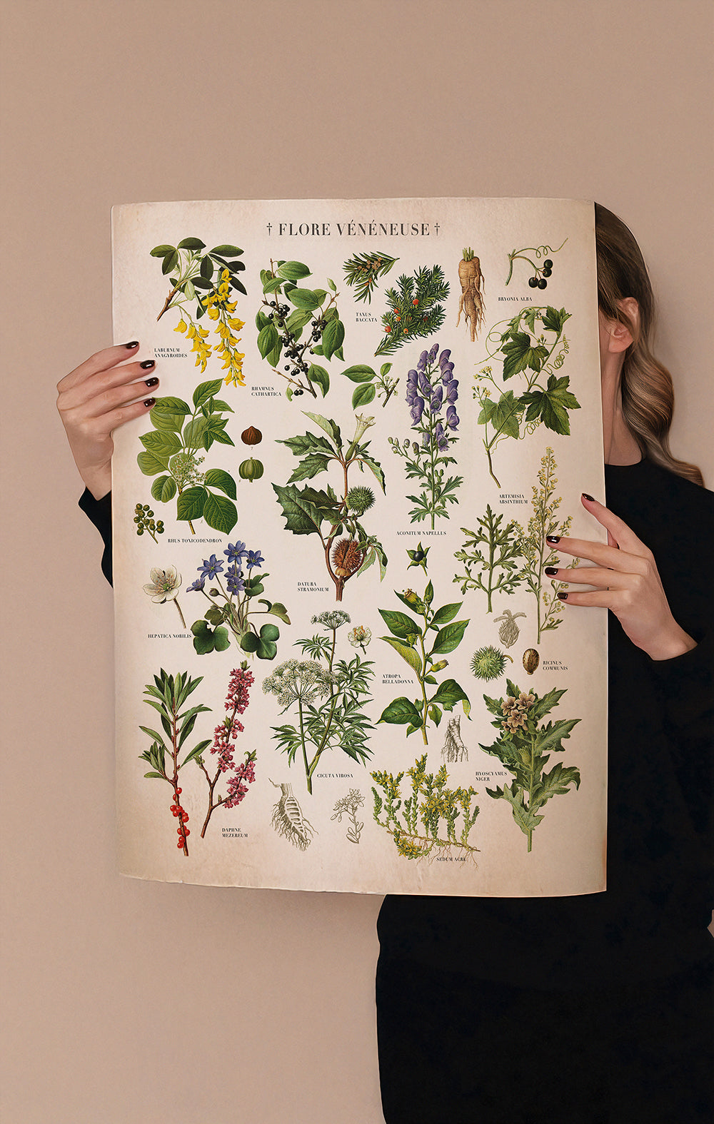 Vintage Poisonous Plants Print Antique Botanical Chart Wit & Wild